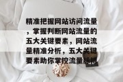精准把握网站访问流量，掌握判断网站流量的五大关键要素，网站流量精准分析，五大关键要素助你掌控流量脉搏
