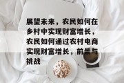 展望未来,农民如何在乡村中实现财富增长,农民如何通过农村电商实现财富增长,前景与挑战 展望未来,农民如何在乡村中实现财富增长,农民如何通过农村电商实现财富增长,前景与挑战