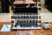 网站关闭域名备案，揭秘背后原因及应对策略，网站域名备案受阻，揭秘关闭原因与应对之道，网站域名备案关闭之谜，原因剖析与应对攻略