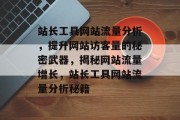 站长工具网站流量分析，提升网站访客量的秘密武器，揭秘网站流量增长，站长工具网站流量分析秘籍