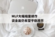 MLF大幅缩量续作 资金面仍有望平稳跨节