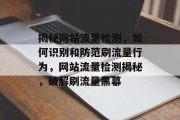 揭秘网站流量检测，如何识别和防范刷流量行为，网站流量检测揭秘，破解刷流量黑幕
