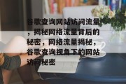 谷歌查询网站访问流量，揭秘网络流量背后的秘密，网络流量揭秘，谷歌查询视角下的网站访问秘密