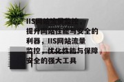 IIS网站流量监控，提升网站性能与安全的利器，IIS网站流量监控，优化性能与保障安全的强大工具