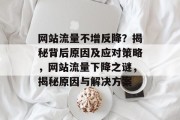 网站流量不增反降？揭秘背后原因及应对策略，网站流量下降之谜，揭秘原因与解决方案