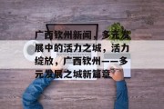 广西钦州新闻，多元发展中的活力之城，活力绽放，广西钦州——多元发展之城新篇章