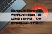 揭秘网站流量降低的五大原因及应对策略，网站流量下降之谜，五大原因解析与应对之道