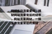 网站当日流量查询，揭秘网站流量背后的秘密，网站流量揭秘，一探当日流量背后的奥秘