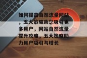 如何提高自然流量网站，五大策略助您吸引更多用户，网站自然流量提升攻略，五大策略助力用户吸引与增长