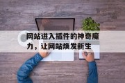 网站进入插件的神奇魔力,让网站焕发新生 网站进入插件的神奇魔力,让网站焕发新生