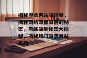 揭秘哪些网站吸流量，揭秘网络流量背后的秘密，网络流量秘密大揭秘，揭秘热门吸流网站真相