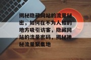 揭秘隐藏网站的流量秘密，如何在不为人知的地方吸引访客，隐藏网站的流量密码，揭秘神秘流量聚集地