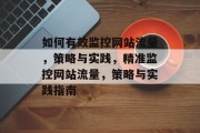 如何有效监控网站流量，策略与实践，精准监控网站流量，策略与实践指南