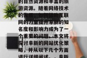 阜新，一个位于东北部的地区，拥有一批优质的自然资源和丰富的旅游资源。随着网络技术的发展，如何借助互联网的力量提升阜新的知名度和影响力成为了一个重要的问题。本文将探讨阜新的网站优化策略，并从以下几个方面进行详细阐述。，阜新，利用互联网提高城市知名度与影响力的策略