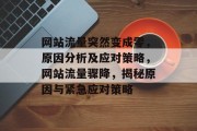 网站流量突然变成零，原因分析及应对策略，网站流量骤降，揭秘原因与紧急应对策略