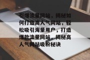 引爆流量网站，揭秘如何打造高人气网站，轻松吸引海量用户，打造爆款流量网站，揭秘高人气网站吸粉秘诀