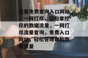 流量免费查询入口网站，一网打尽，轻松掌控你的数据流量，一网打尽流量查询，免费入口网站，轻松管理你的数据流量