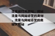 流量能打开网站，揭秘流量与网站运营的奥秘，流量与网站运营的奥秘大揭秘