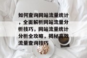 如何查询网站流量统计，全面解析网站流量分析技巧，网站流量统计分析全攻略，揭秘高效流量查询技巧