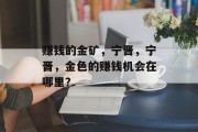 赚钱的金矿，宁晋，宁晋，金色的赚钱机会在哪里？