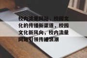 校内流量网站，校园文化的传播新渠道，校园文化新风向，校内流量网站引领传播浪潮