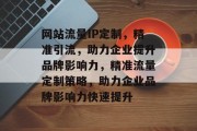 网站流量IP定制，精准引流，助力企业提升品牌影响力，精准流量定制策略，助力企业品牌影响力快速提升