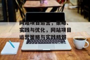 网站项目运营，策略、实践与优化，网站项目运营策略与实践精髓