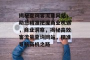 揭秘查询客流量网站，助您精准把握商业机遇，商业洞察，揭秘高效客流量查询网站，精准导航商机之路