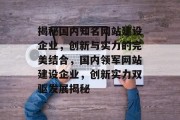 揭秘国内知名网站建设企业，创新与实力的完美结合，国内领军网站建设企业，创新实力双驱发展揭秘