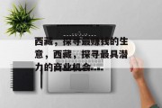 西藏,探寻最赚钱的生意,西藏,探寻最具潜力的商业机会 西藏,探寻最赚钱的生意,西藏,探寻最具潜力的商业机会