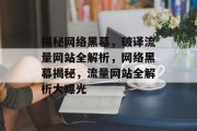 揭秘网络黑幕，破译流量网站全解析，网络黑幕揭秘，流量网站全解析大曝光
