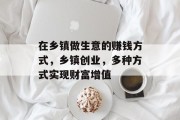 在乡镇做生意的赚钱方式,乡镇创业,多种方式实现财富增值 在乡镇做生意的赚钱方式,乡镇创业,多种方式实现财富增值