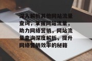深入解析其他网站流量查询，掌握网站流量，助力网络营销，网站流量查询深度解析，提升网络营销效率的秘籍