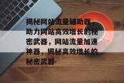 揭秘网站流量辅助器，助力网站高效增长的秘密武器，网站流量加速神器，揭秘高效增长的秘密武器
