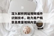 深入解析网站视频插件识别技术,助力用户畅享高质量视频内容 深入解析网站视频插件识别技术,助力用户畅享高质量视频内容