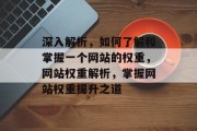 深入解析，如何了解和掌握一个网站的权重，网站权重解析，掌握网站权重提升之道