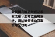 如何建立网站并成功收取流量，全方位策略解析，网站流量成功获取策略全攻略