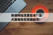 新建网站流量低迷？五大策略助你突破困境！