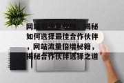 网站引流量攻略，揭秘如何选择最佳合作伙伴，网站流量倍增秘籍，揭秘合作伙伴选择之道