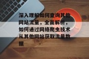 深入理解如何查询其他网站流量，全面解析，如何通过网络爬虫技术从其他网站获取流量数据