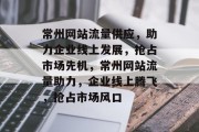 常州网站流量供应，助力企业线上发展，抢占市场先机，常州网站流量助力，企业线上腾飞，抢占市场风口