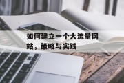 如何建立一个大流量网站,策略与实践 如何建立一个大流量网站,策略与实践