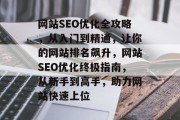 网站SEO优化全攻略，从入门到精通，让你的网站排名飙升，网站SEO优化终极指南，从新手到高手，助力网站快速上位