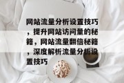 网站流量分析设置技巧，提升网站访问量的秘籍，网站流量翻倍秘籍，深度解析流量分析设置技巧