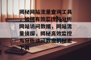 揭秘网站流量查询工具，如何有效监控与分析网站访问数据，网站流量侦探，揭秘高效监控与分析访问数据的秘密工具