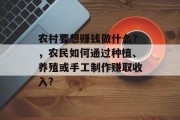 农村要想赚钱做什么?,农民如何通过种植、养殖或手工制作赚取收入? 农村要想赚钱做什么?,农民如何通过种植、养殖或手工制作赚取收入?