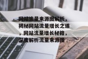 网站流量来源图解析，揭秘网站流量增长之道，网站流量增长秘籍，深度解析流量来源图