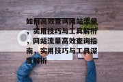 如何高效查询网站流量，实用技巧与工具解析，网站流量高效查询指南，实用技巧与工具深度解析