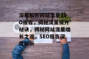 深度解析网站流量SEO报告，揭秘流量提升秘诀，揭秘网站流量增长之道，SEO报告深度解析