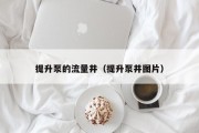提升泵的流量井（提升泵井图片）